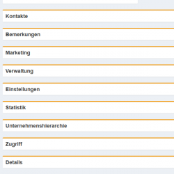 Strukturierte Erfassung zu Unternehmen – Abschnitte